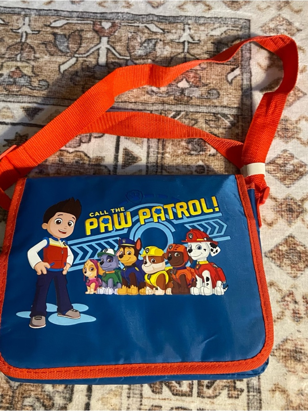 Paw Patrol Portable DVD Player Swivel Mount Case Tested W/ Power Cord Excellent